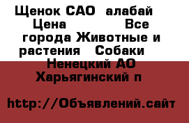 Щенок САО (алабай) › Цена ­ 10 000 - Все города Животные и растения » Собаки   . Ненецкий АО,Харьягинский п.